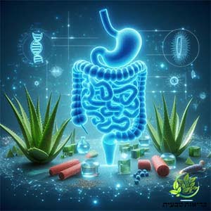 פרה-ביוטיקה