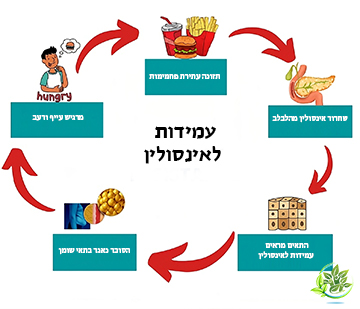 עמידות לאינסולין