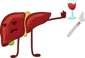 הקשר בין אלכוהול לכבד