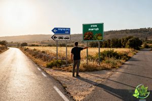 חוזרים לבריאות